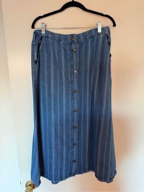 Vintage Monsoon Blue Striped Button-Front A-Line Skirt with Ric Rac Trim